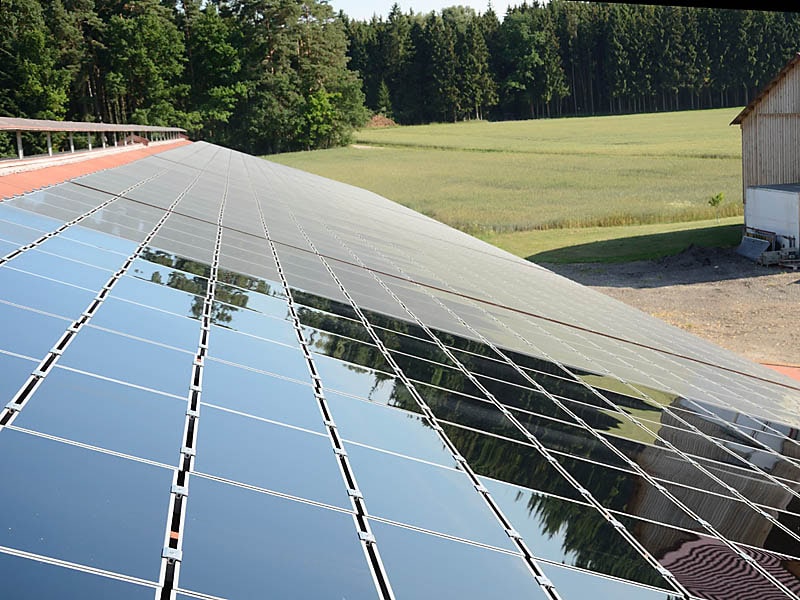 Solarmodule auf einem Dach in ländlicher Umgebung, spiegeln blauen Himmel und Bäume wider.